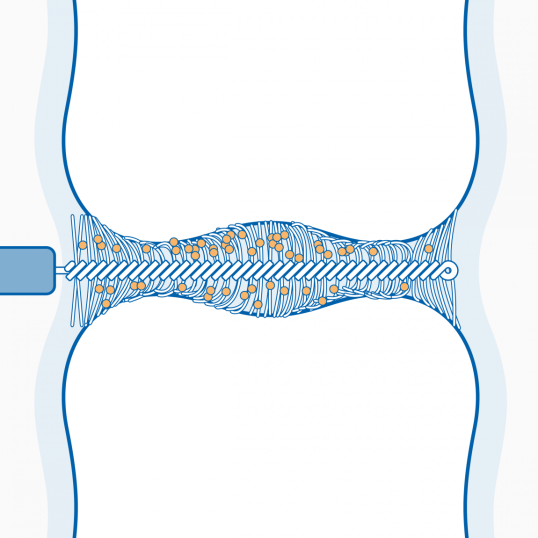 interdental brush 2